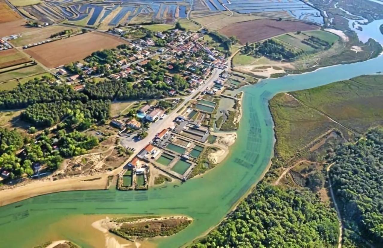 La Maisonnette Du Payre Talmont-Saint-Hilaire Eksteriør bilde